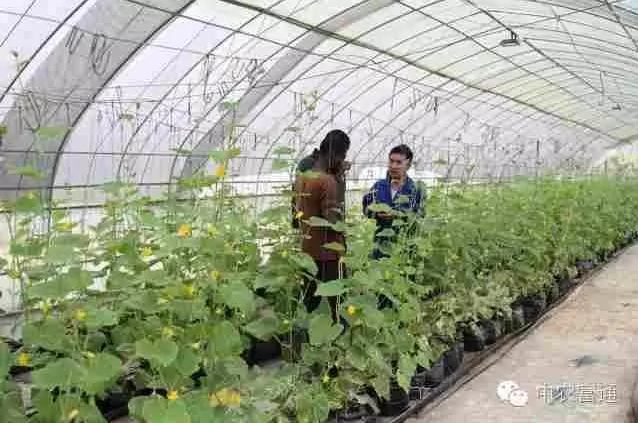 1464751307127434.png blob.png