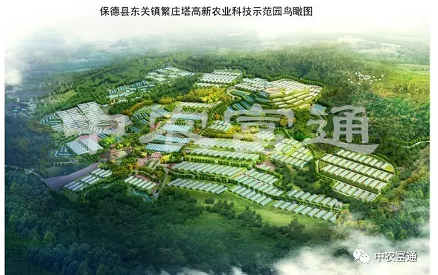 1489049089132228.png blob.png