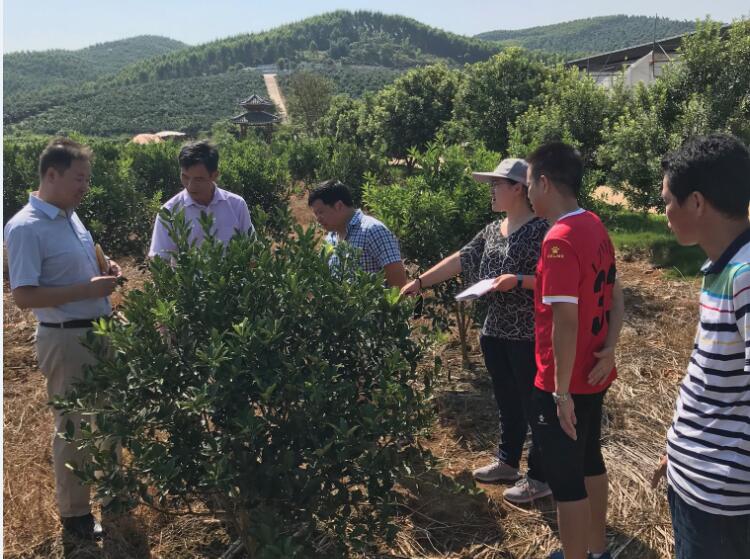 1531791618983491.jpg 1234.jpg