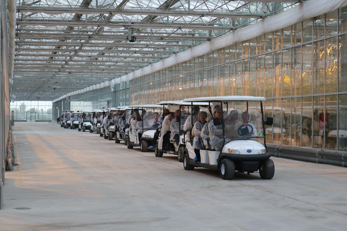 【邀請函】未來已來 中荷都市供給和綠色發(fā)展趨勢探秘(圖14)