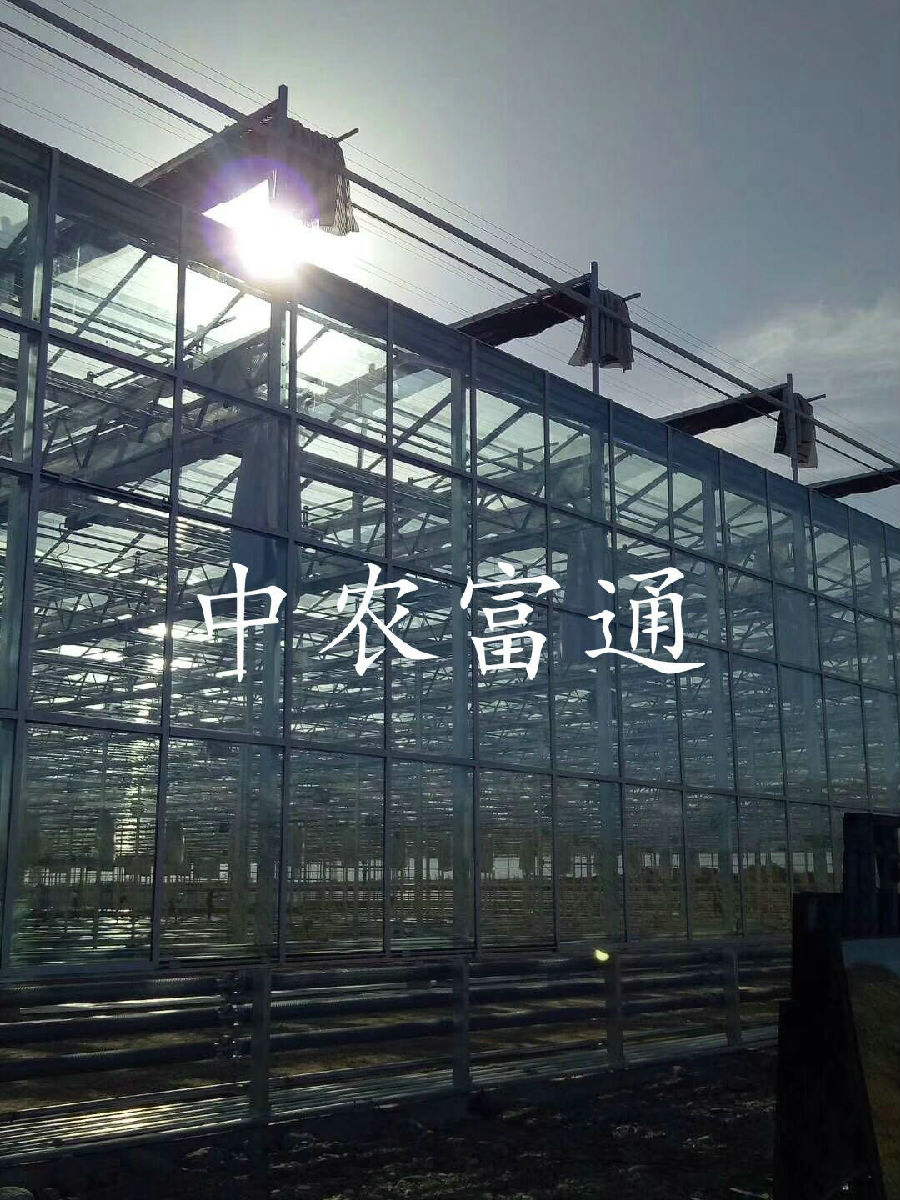 【邀請函】未來已來 中荷都市供給和綠色發(fā)展趨勢探秘(圖13)