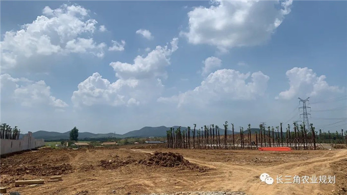 為了幫助園區(qū)的提檔升級(jí)，南京市農(nóng)業(yè)農(nóng)村局特委托中農(nóng)富通編制《南京市農(nóng)業(yè)園區(qū)發(fā)展研究報(bào)告》，以期從產(chǎn)業(yè)發(fā)展路徑、園區(qū)發(fā)展模式、保障措施等多維度為南京市農(nóng)業(yè)園區(qū)未來三年的發(fā)展做統(tǒng)籌謀劃。 8月19日，中農(nóng)(圖11)