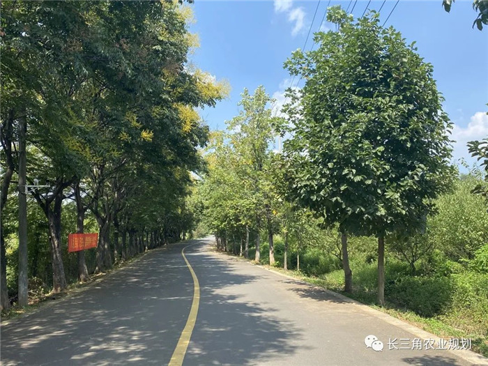 為了幫助園區(qū)的提檔升級(jí)，南京市農(nóng)業(yè)農(nóng)村局特委托中農(nóng)富通編制《南京市農(nóng)業(yè)園區(qū)發(fā)展研究報(bào)告》，以期從產(chǎn)業(yè)發(fā)展路徑、園區(qū)發(fā)展模式、保障措施等多維度為南京市農(nóng)業(yè)園區(qū)未來三年的發(fā)展做統(tǒng)籌謀劃。 8月19日，中農(nóng)(圖8)