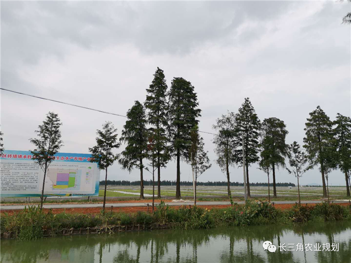 9月1日，中農(nóng)富通團(tuán)隊(duì)開(kāi)啟了高淳區(qū)域內(nèi)現(xiàn)代農(nóng)業(yè)示范園的調(diào)研工作，此次高淳區(qū)農(nóng)業(yè)園區(qū)調(diào)研由中農(nóng)富通長(zhǎng)三角農(nóng)業(yè)規(guī)劃科學(xué)研究所所長(zhǎng)薛欣艷與中國(guó)農(nóng)業(yè)大學(xué)規(guī)劃研究所園區(qū)規(guī)劃部分管總工趙嬋璞帶隊(duì)。(圖8)