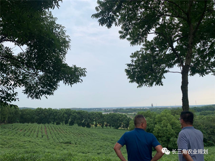 9月1日，中農(nóng)富通團(tuán)隊(duì)開(kāi)啟了高淳區(qū)域內(nèi)現(xiàn)代農(nóng)業(yè)示范園的調(diào)研工作，此次高淳區(qū)農(nóng)業(yè)園區(qū)調(diào)研由中農(nóng)富通長(zhǎng)三角農(nóng)業(yè)規(guī)劃科學(xué)研究所所長(zhǎng)薛欣艷與中國(guó)農(nóng)業(yè)大學(xué)規(guī)劃研究所園區(qū)規(guī)劃部分管總工趙嬋璞帶隊(duì)。(圖13)