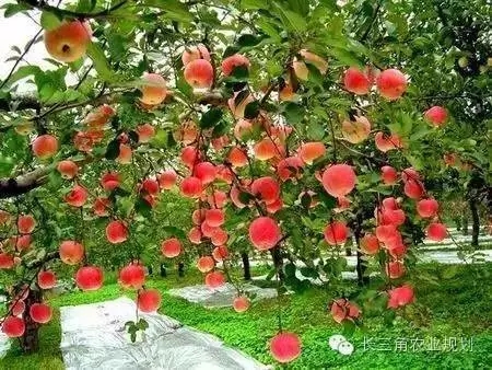 undefined 640.webp.jpg