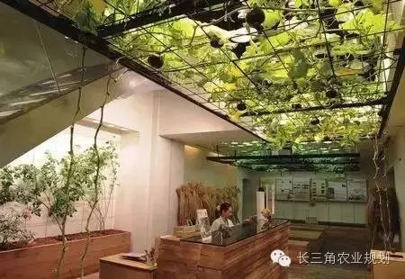 undefined 640.webp (1).jpg