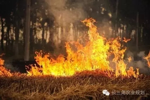 undefined 640.webp (15).jpg