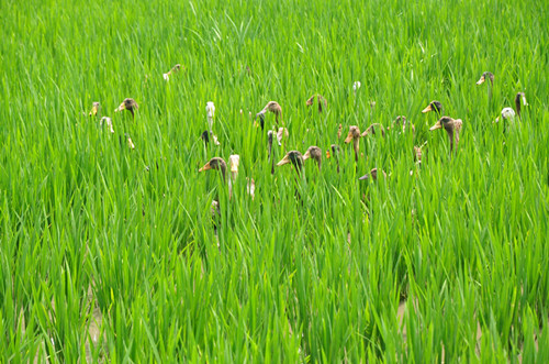 undefined 2012101613385522.jpg