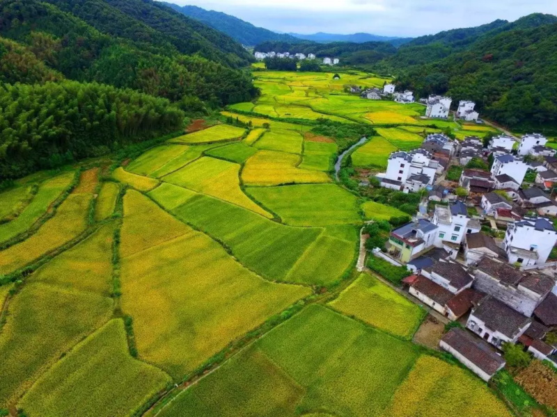 浙江田園綜合體規(guī)劃 640.jpg