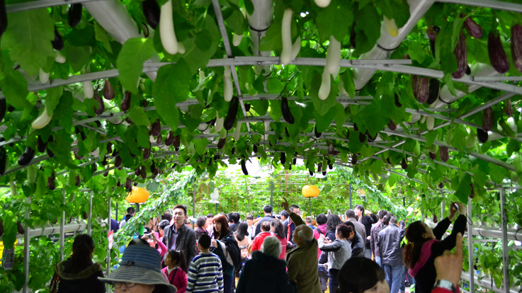 北京農(nóng)業(yè)嘉年華(圖3) 4.jpg