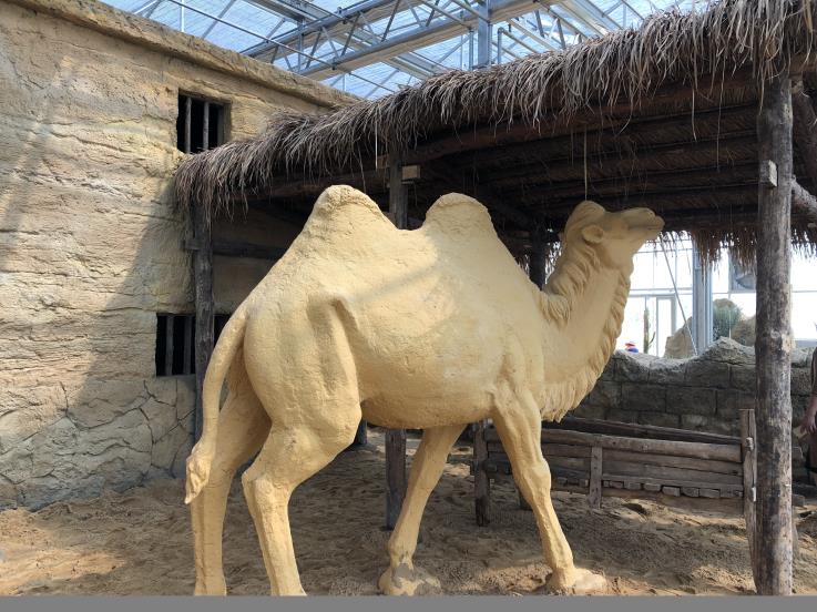 江蘇洋河農(nóng)業(yè)嘉年華(圖6) 461015575008747053.jpg