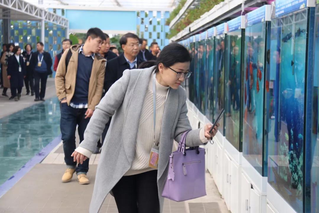 undefined 微信圖片_20181127113747.jpg