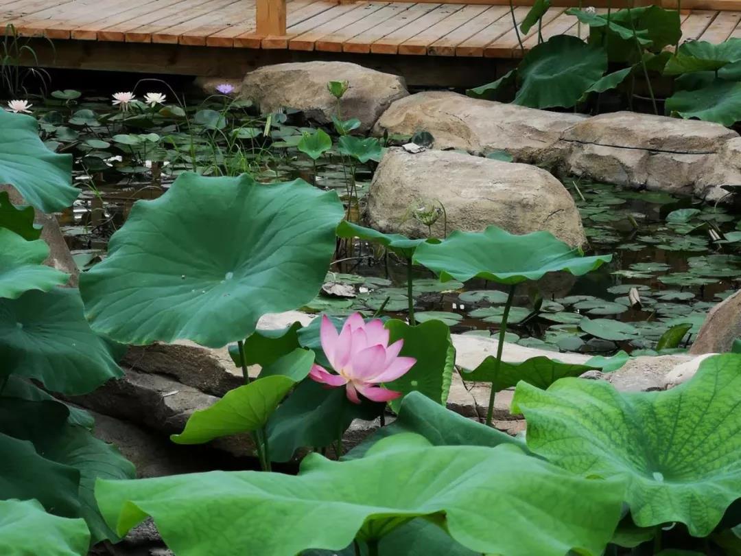 undefined 微信圖片_20181203115052.jpg