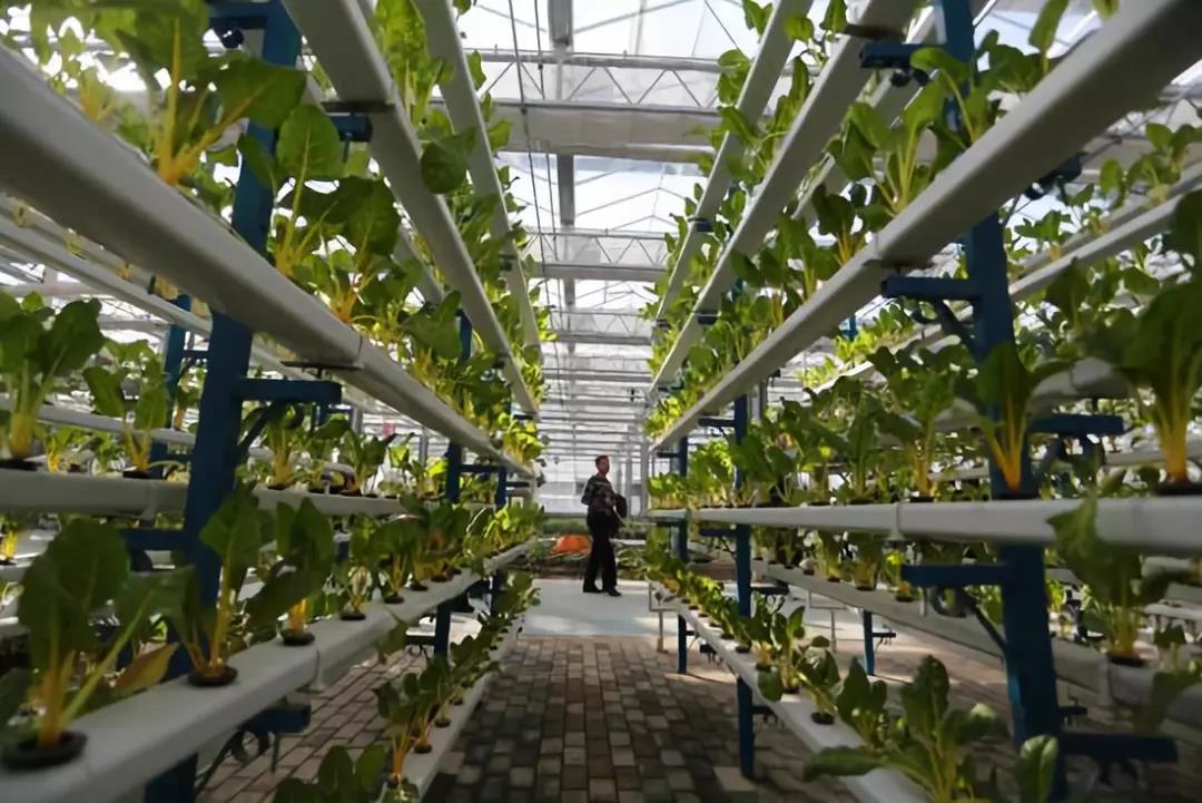 undefined 微信圖片_20181207140644.jpg