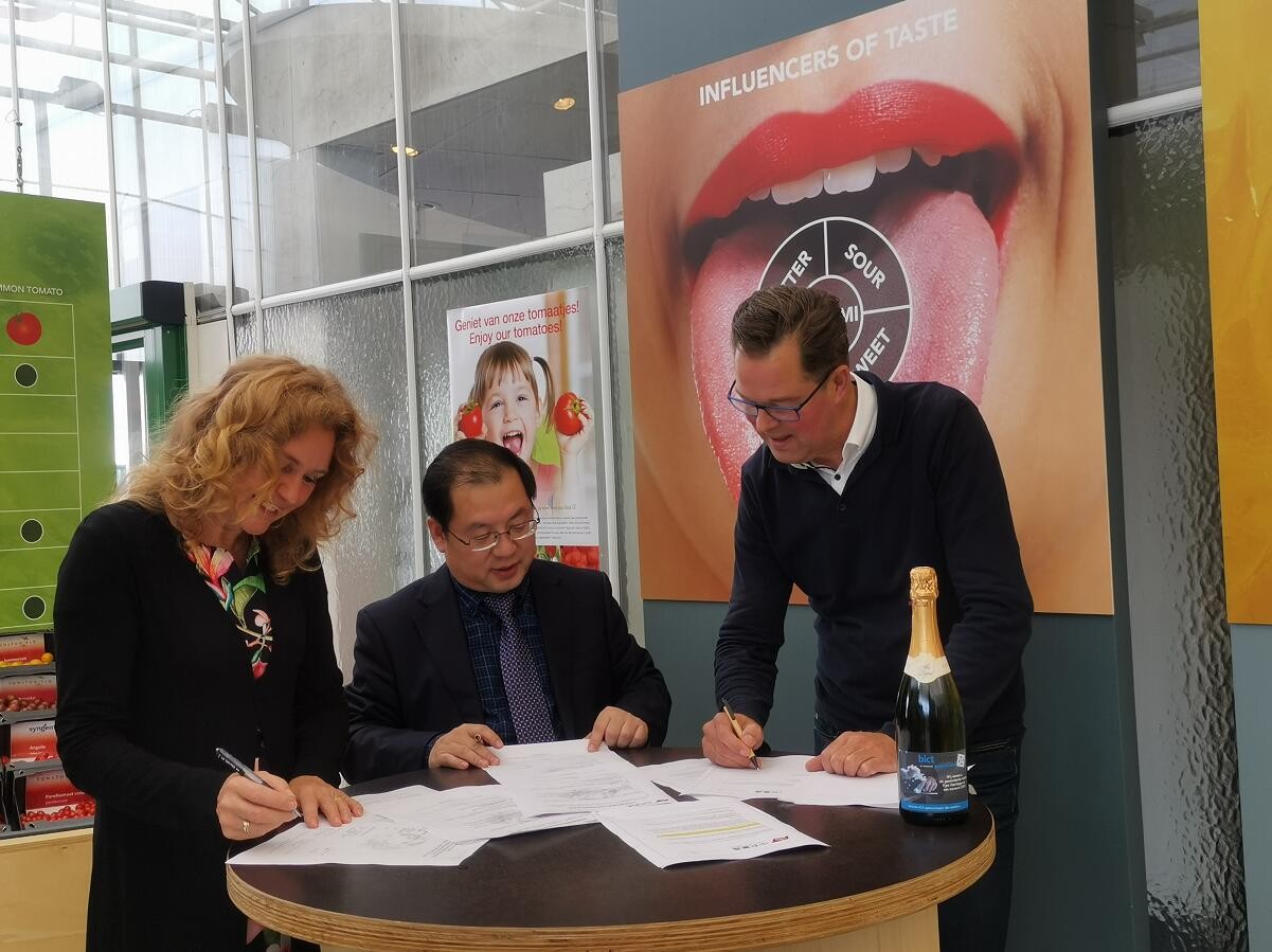 【邀請函】未來已來 中荷都市供給和綠色發(fā)展趨勢探秘(圖12)