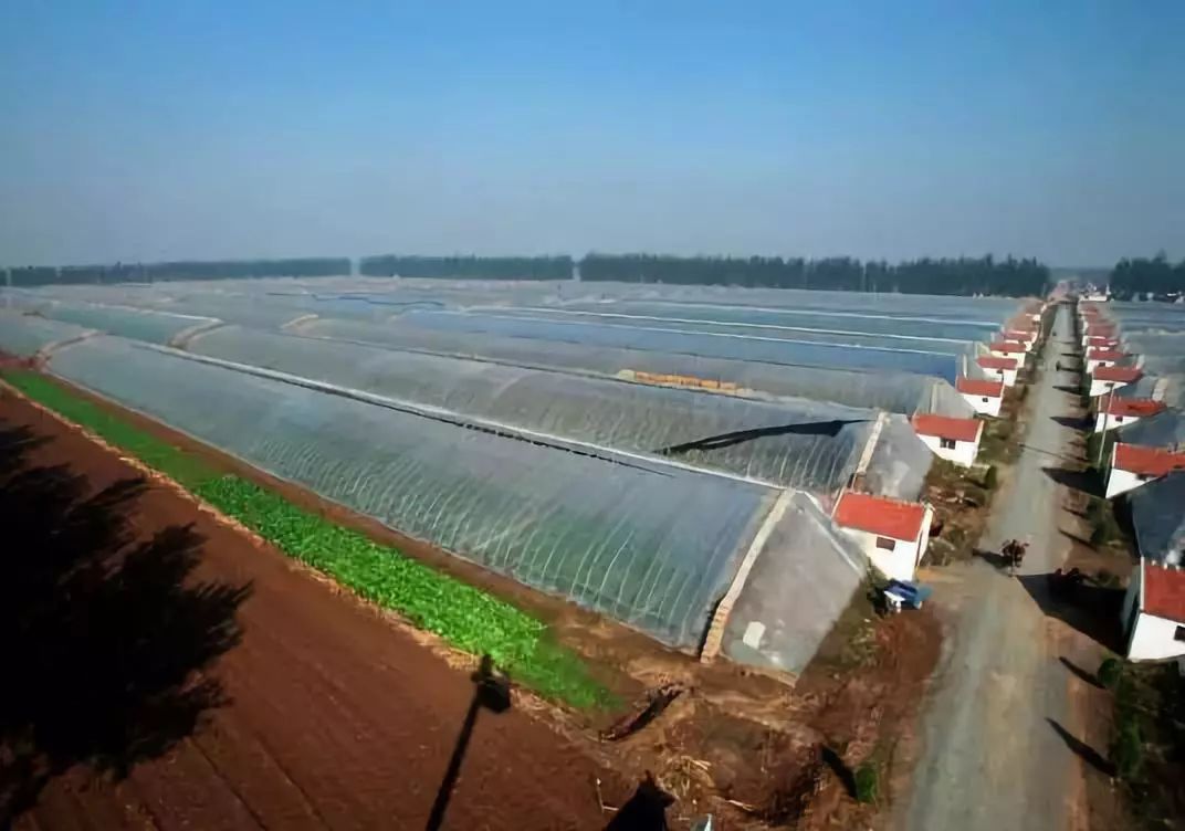 第九屆縣域會(huì)||2019鄉(xiāng)村振興優(yōu)秀案例圖文展成功舉辦（附優(yōu)秀案例）(圖14)