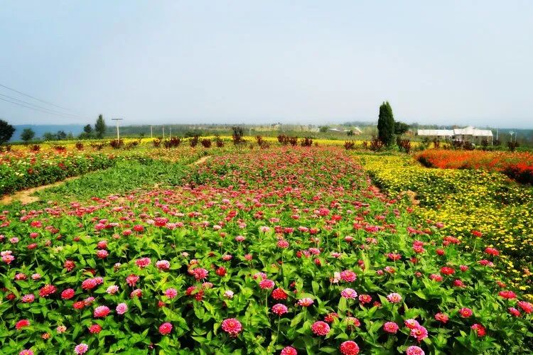 以河南甘山果香田園綜合體項目為例探索三產(chǎn)融合發(fā)展模式(圖4) 微信圖片_20200522095755.jpg