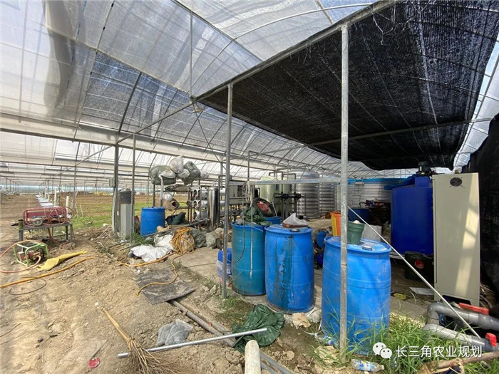 為了幫助園區(qū)的提檔升級(jí)，南京市農(nóng)業(yè)農(nóng)村局特委托中農(nóng)富通編制《南京市農(nóng)業(yè)園區(qū)發(fā)展研究報(bào)告》，以期從產(chǎn)業(yè)發(fā)展路徑、園區(qū)發(fā)展模式、保障措施等多維度為南京市農(nóng)業(yè)園區(qū)未來三年的發(fā)展做統(tǒng)籌謀劃。 8月19日，中農(nóng)(圖5)