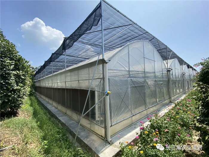 為了幫助園區(qū)的提檔升級(jí)，南京市農(nóng)業(yè)農(nóng)村局特委托中農(nóng)富通編制《南京市農(nóng)業(yè)園區(qū)發(fā)展研究報(bào)告》，以期從產(chǎn)業(yè)發(fā)展路徑、園區(qū)發(fā)展模式、保障措施等多維度為南京市農(nóng)業(yè)園區(qū)未來三年的發(fā)展做統(tǒng)籌謀劃。 8月19日，中農(nóng)(圖6)