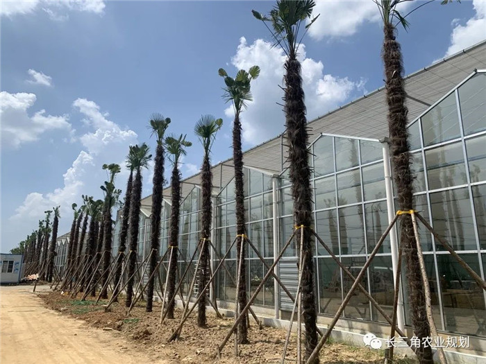 為了幫助園區(qū)的提檔升級(jí)，南京市農(nóng)業(yè)農(nóng)村局特委托中農(nóng)富通編制《南京市農(nóng)業(yè)園區(qū)發(fā)展研究報(bào)告》，以期從產(chǎn)業(yè)發(fā)展路徑、園區(qū)發(fā)展模式、保障措施等多維度為南京市農(nóng)業(yè)園區(qū)未來三年的發(fā)展做統(tǒng)籌謀劃。 8月19日，中農(nóng)(圖10)