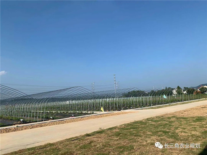 為了幫助園區(qū)的提檔升級(jí)，南京市農(nóng)業(yè)農(nóng)村局特委托中農(nóng)富通編制《南京市農(nóng)業(yè)園區(qū)發(fā)展研究報(bào)告》，以期從產(chǎn)業(yè)發(fā)展路徑、園區(qū)發(fā)展模式、保障措施等多維度為南京市農(nóng)業(yè)園區(qū)未來三年的發(fā)展做統(tǒng)籌謀劃。 8月19日，中農(nóng)(圖21)