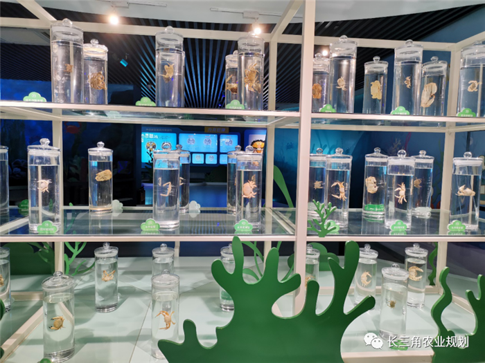 9月1日，中農(nóng)富通團(tuán)隊(duì)開(kāi)啟了高淳區(qū)域內(nèi)現(xiàn)代農(nóng)業(yè)示范園的調(diào)研工作，此次高淳區(qū)農(nóng)業(yè)園區(qū)調(diào)研由中農(nóng)富通長(zhǎng)三角農(nóng)業(yè)規(guī)劃科學(xué)研究所所長(zhǎng)薛欣艷與中國(guó)農(nóng)業(yè)大學(xué)規(guī)劃研究所園區(qū)規(guī)劃部分管總工趙嬋璞帶隊(duì)。(圖5)