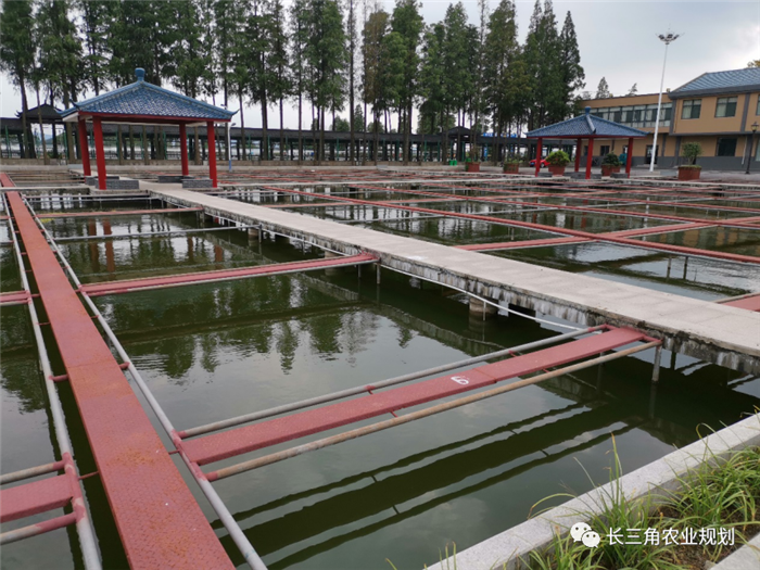 9月1日，中農(nóng)富通團(tuán)隊(duì)開(kāi)啟了高淳區(qū)域內(nèi)現(xiàn)代農(nóng)業(yè)示范園的調(diào)研工作，此次高淳區(qū)農(nóng)業(yè)園區(qū)調(diào)研由中農(nóng)富通長(zhǎng)三角農(nóng)業(yè)規(guī)劃科學(xué)研究所所長(zhǎng)薛欣艷與中國(guó)農(nóng)業(yè)大學(xué)規(guī)劃研究所園區(qū)規(guī)劃部分管總工趙嬋璞帶隊(duì)。(圖7)