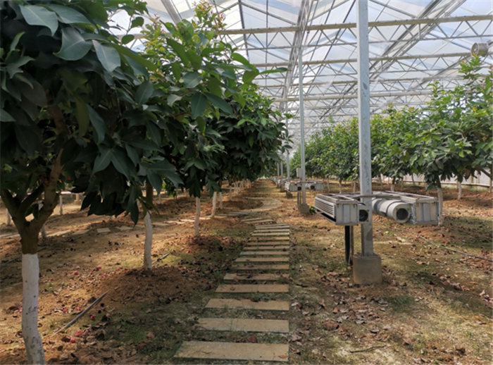 9月3日，中農(nóng)富通調(diào)研組兵分兩路對南京高淳區(qū)武家嘴現(xiàn)代農(nóng)業(yè)產(chǎn)業(yè)示范園區(qū)和棲霞區(qū)龍?zhí)冬F(xiàn)代農(nóng)業(yè)產(chǎn)業(yè)示范園區(qū)的調(diào)研工作。(圖5)