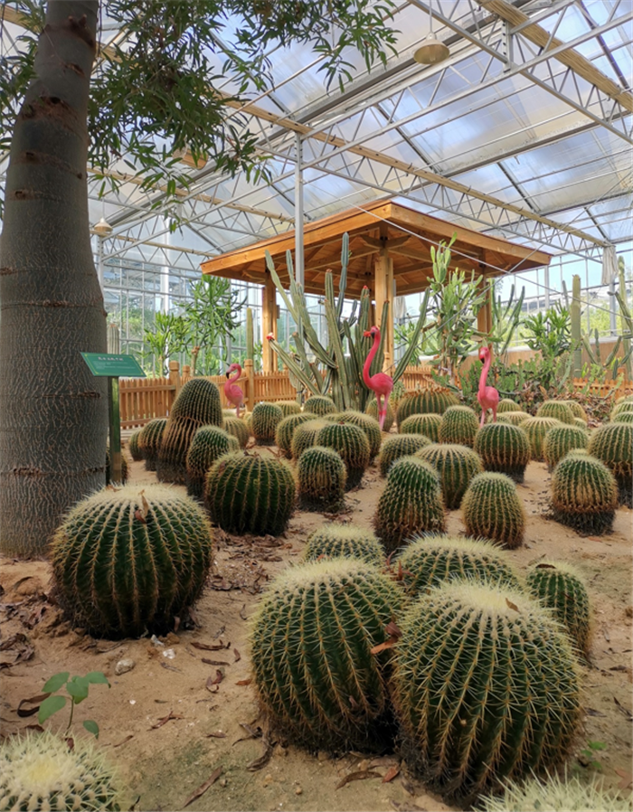 9月3日，中農(nóng)富通調(diào)研組兵分兩路對南京高淳區(qū)武家嘴現(xiàn)代農(nóng)業(yè)產(chǎn)業(yè)示范園區(qū)和棲霞區(qū)龍?zhí)冬F(xiàn)代農(nóng)業(yè)產(chǎn)業(yè)示范園區(qū)的調(diào)研工作。(圖11)