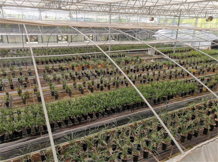 9月3日，中農(nóng)富通調(diào)研組兵分兩路對南京高淳區(qū)武家嘴現(xiàn)代農(nóng)業(yè)產(chǎn)業(yè)示范園區(qū)和棲霞區(qū)龍?zhí)冬F(xiàn)代農(nóng)業(yè)產(chǎn)業(yè)示范園區(qū)的調(diào)研工作。(圖12)