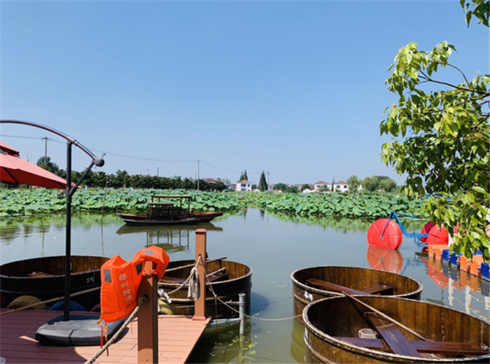 9月3日，中農(nóng)富通調(diào)研組兵分兩路對南京高淳區(qū)武家嘴現(xiàn)代農(nóng)業(yè)產(chǎn)業(yè)示范園區(qū)和棲霞區(qū)龍?zhí)冬F(xiàn)代農(nóng)業(yè)產(chǎn)業(yè)示范園區(qū)的調(diào)研工作。(圖24)