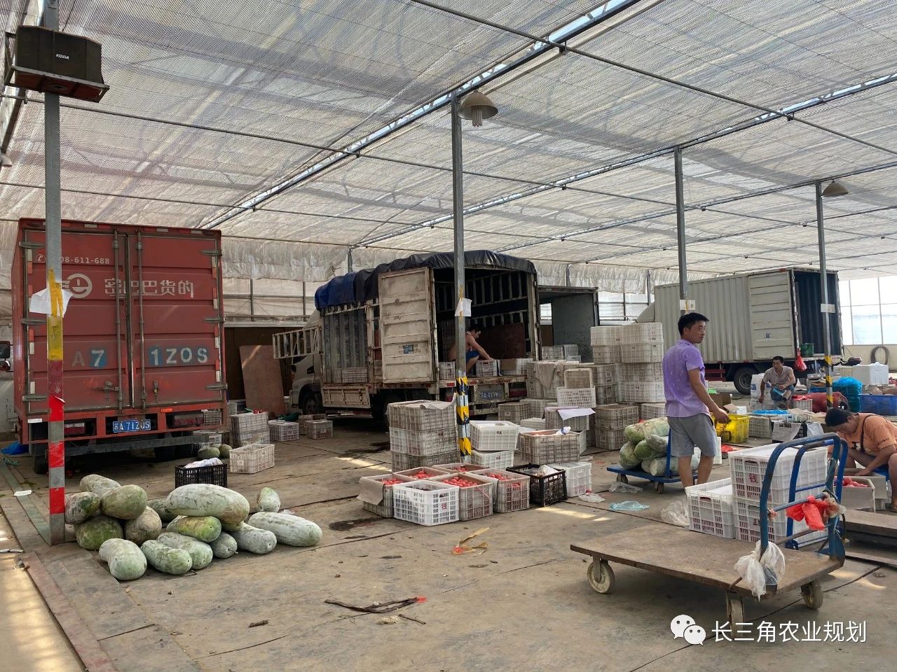 【南京現(xiàn)代農(nóng)業(yè)園區(qū)案例剖析】谷里現(xiàn)代農(nóng)業(yè)示范區(qū)——在特色集聚中發(fā)展現(xiàn)代農(nóng)業(yè)(圖3) 微信圖片_20200909165549.jpg