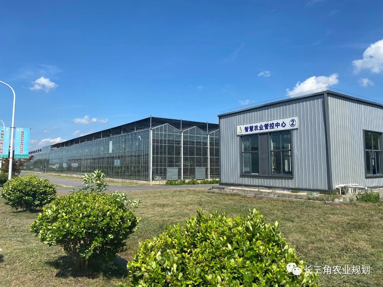 【南京現(xiàn)代農(nóng)業(yè)園區(qū)案例剖析】谷里現(xiàn)代農(nóng)業(yè)示范區(qū)——在特色集聚中發(fā)展現(xiàn)代農(nóng)業(yè)(圖4) 微信圖片_20200909165550.jpg