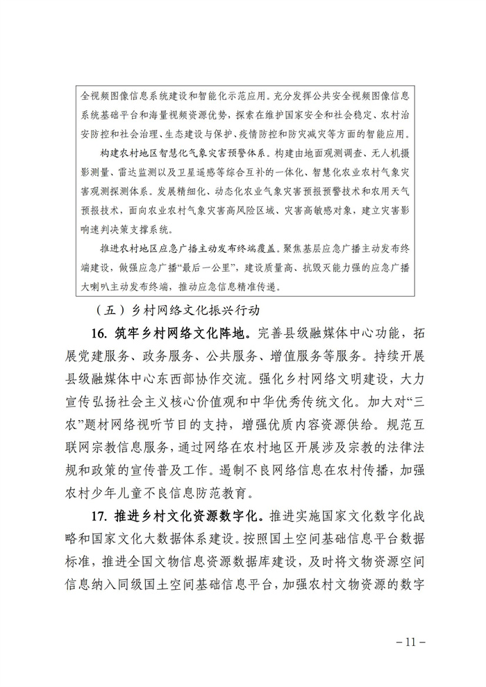 數(shù)字鄉(xiāng)村發(fā)展行動(dòng)計(jì)劃(2022-2025年)_10.jpg