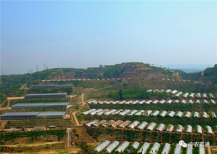 重磅！歷史性的一刻！我國832個國家級貧困縣全部脫貧摘帽(圖4)