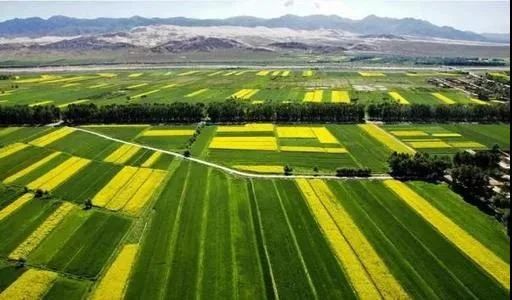 最高獎補8000萬！建設一批鄉(xiāng)村振興集成創(chuàng)新示范縣(圖6)