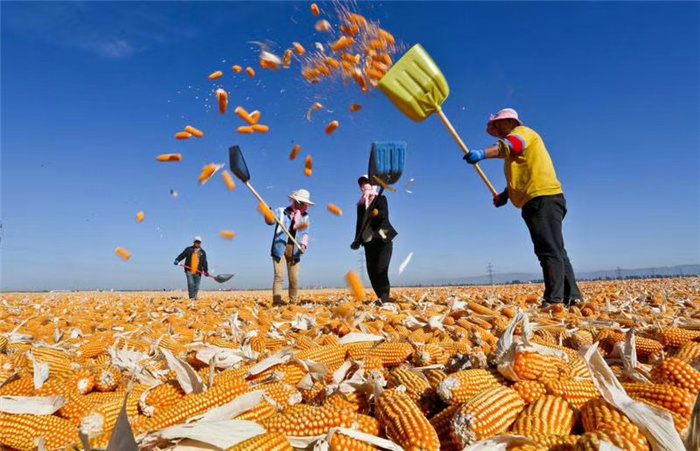 【安徽】(圖13) 【安徽】(圖13)