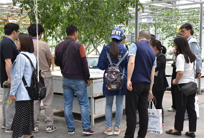 喜報(bào)！第九屆北京（通州）國際都市農(nóng)業(yè)科技節(jié)榮獲“特色展示設(shè)計(jì)展會(huì)”稱號(hào)(圖6)